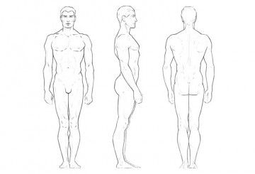 Proporciones de la Figura Masculina